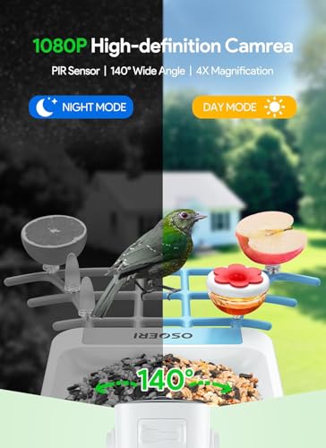 Osoeri real-time alerts keep you updated on visiting birds.