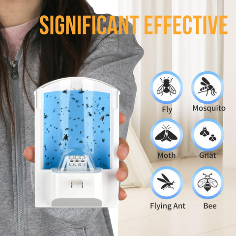 OSVDO durable adhesive boards trap gnats and midges without mess.