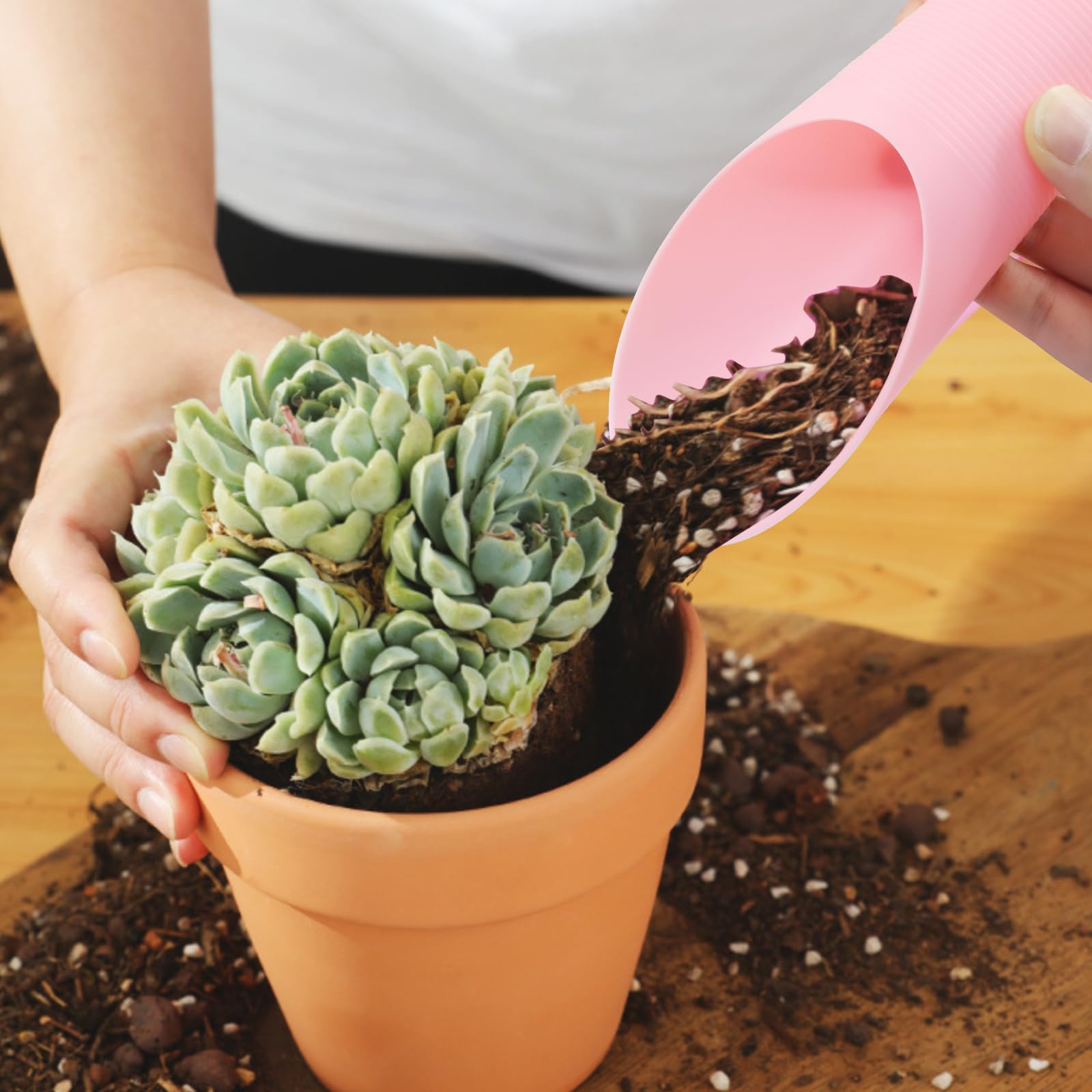 OSVJE plastic garden shovel ideal for seedlings and small planting tasks.