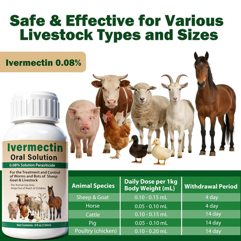 OthoKing ivermectin liquid for oral administration across livestock