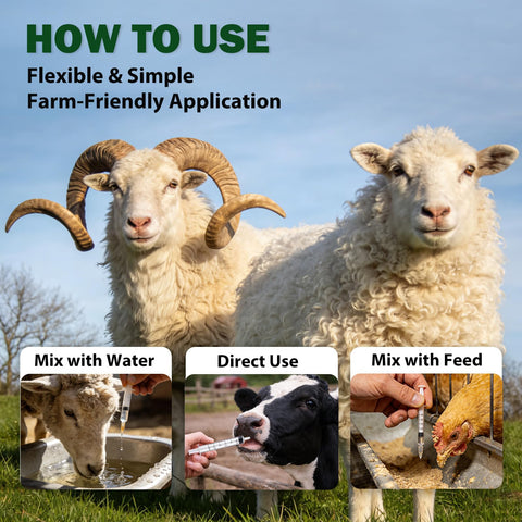 OthoKing ivermectin liquid label notes all-worm formula for parasites