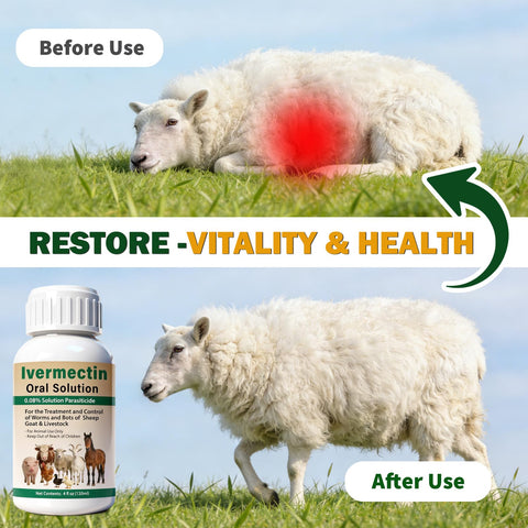 OthoKing ivermectin liquid shown beside sheep and goats on farm