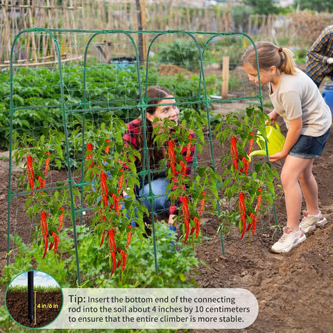 OTOSUNNY climbing plants support helps peas and beans grow upward.