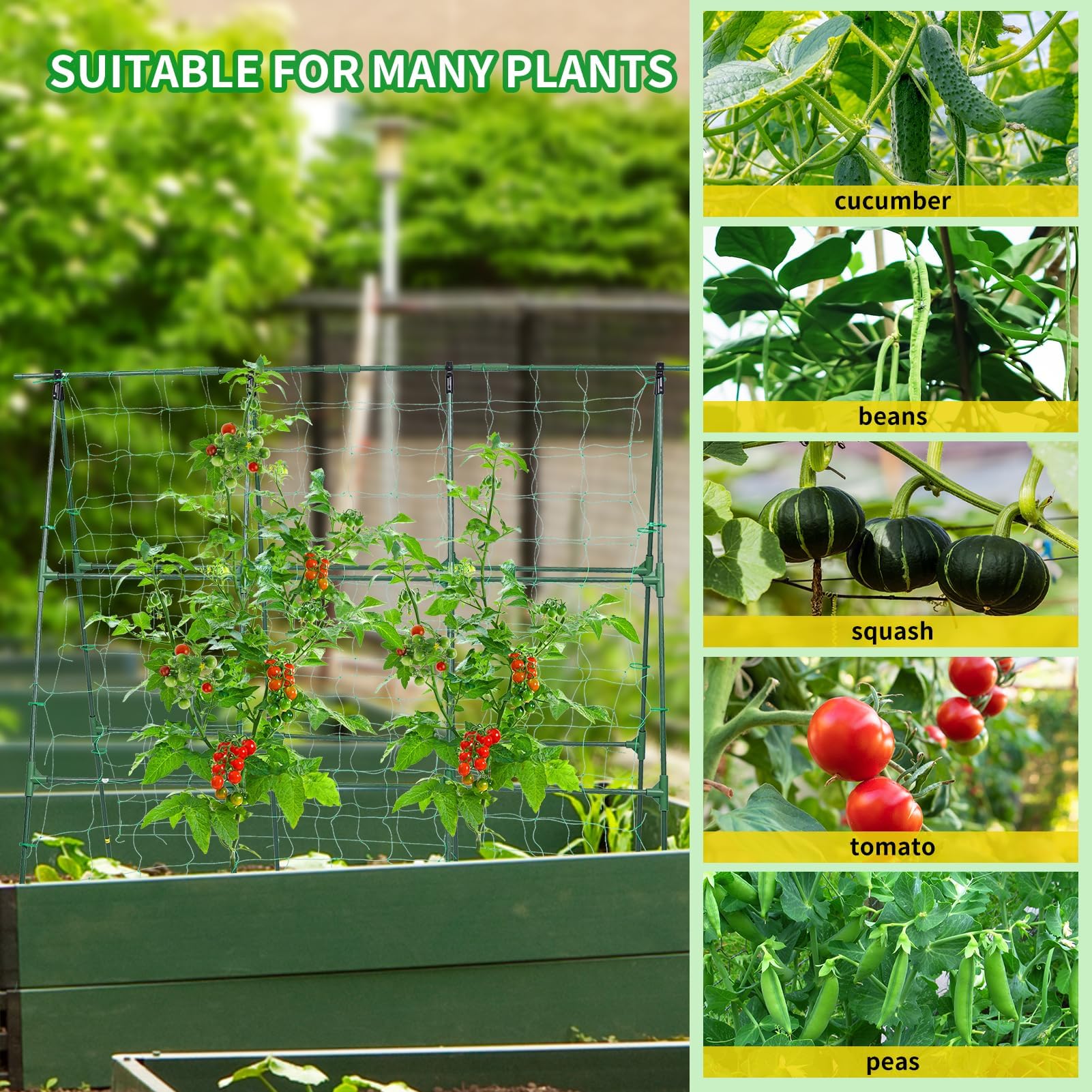 OTOSUNNY elevated fruit harvesting thanks to ground clearance and visible ripeness.