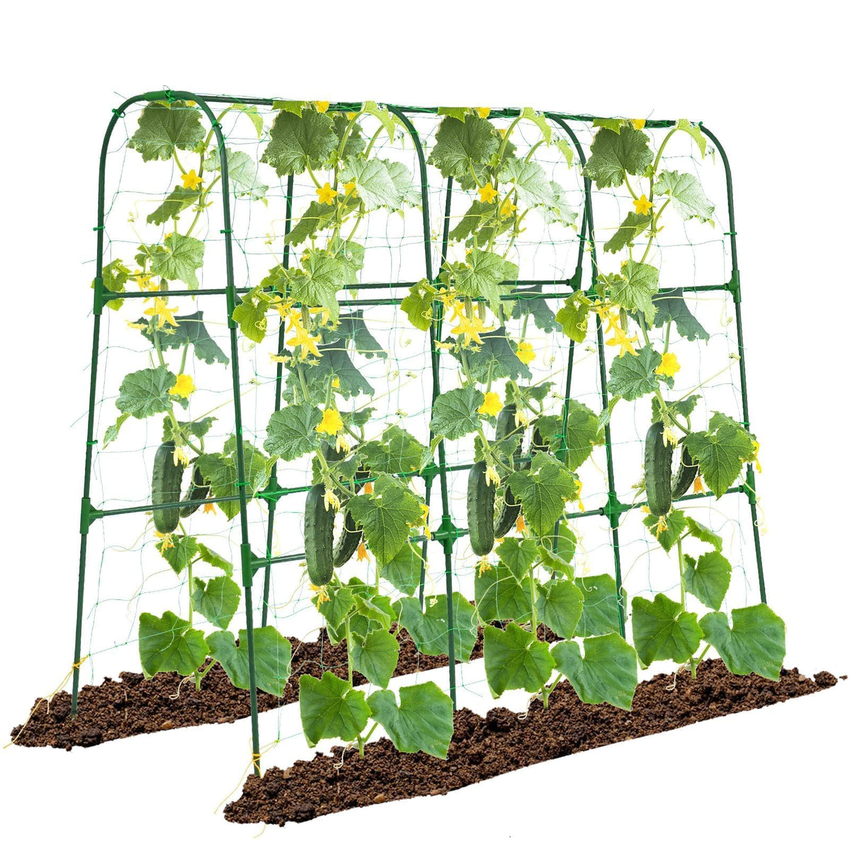 OTOSUNNY Garden Trellis arch green offers sturdy arch support for cucumbers.