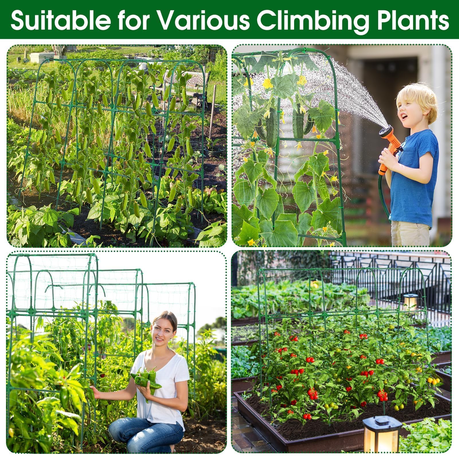 OTOSUNNY Garden Trellis vertical support boosts airflow for tomato plants.