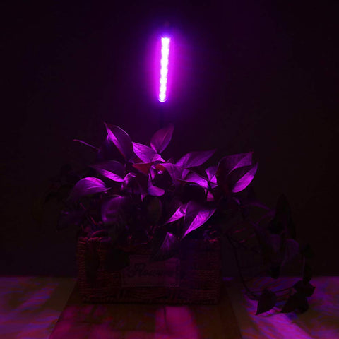 Otryad grow light timer function automates consistent light schedules for plants