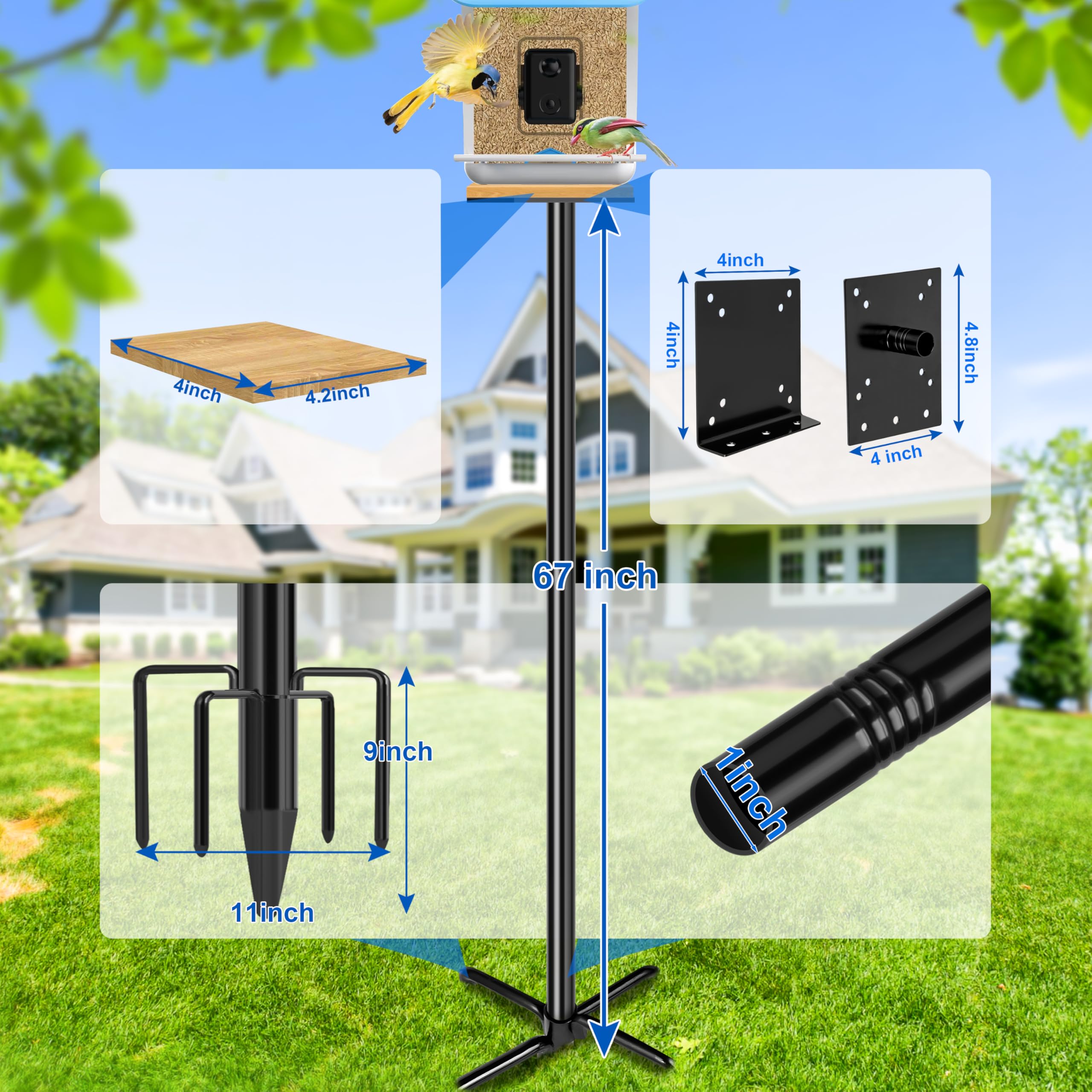 Assembly process shows quick setup and tool-free height adjustment.
