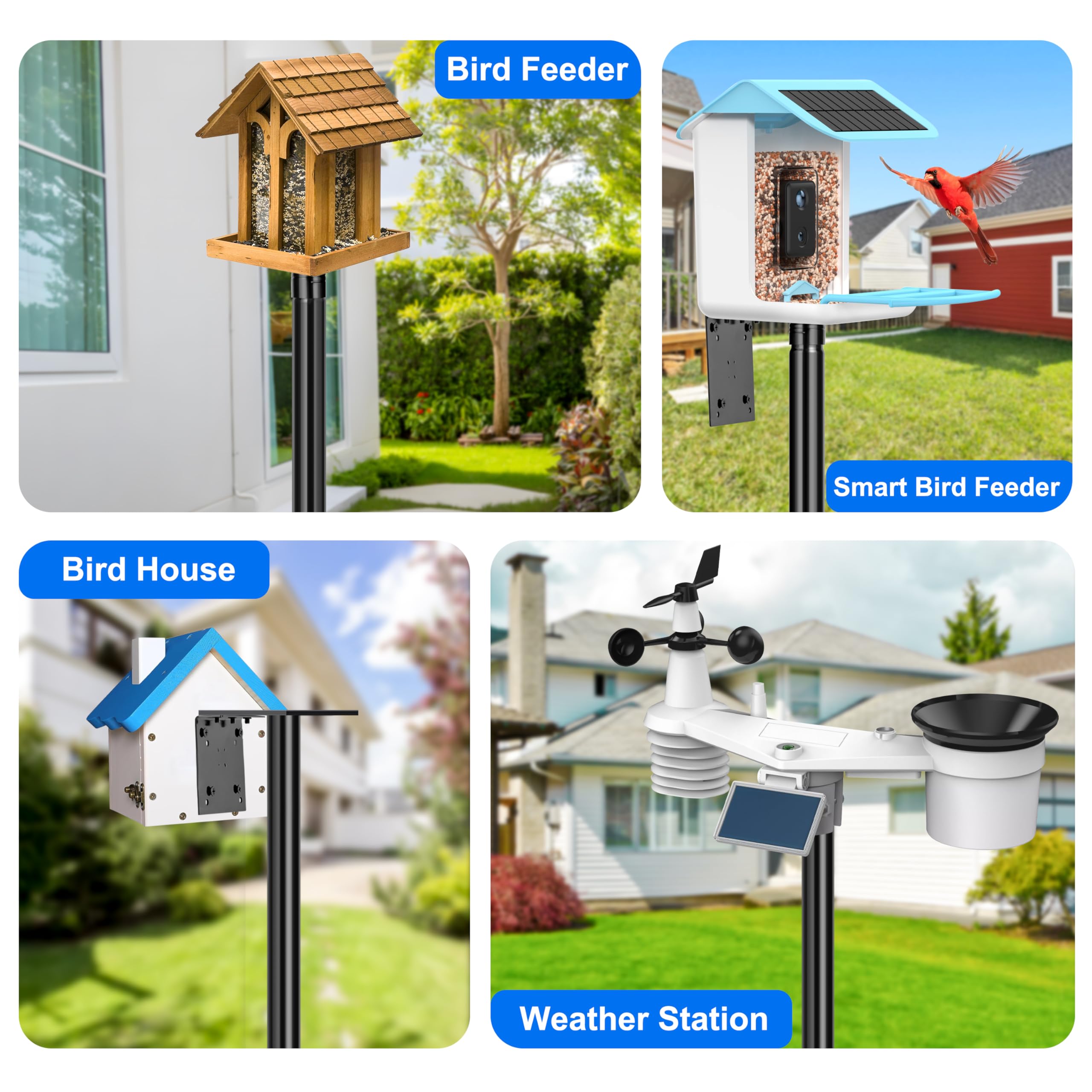 Outdoor bird watching setup invites daily avian visitors.