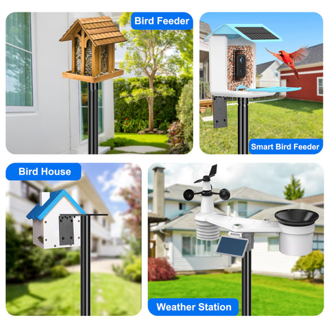 Outdoor bird watching setup invites daily avian visitors.