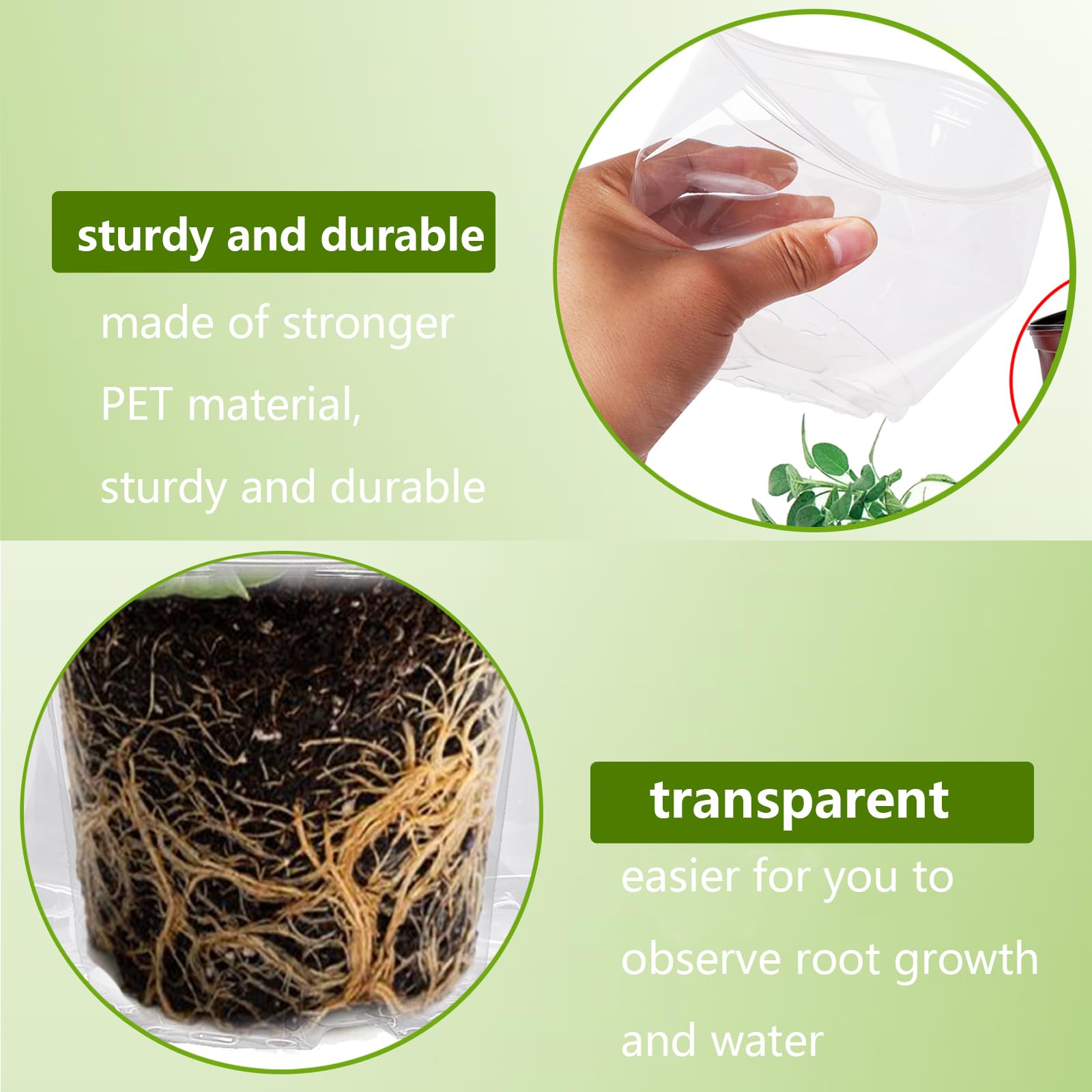 Oubest 5-inch clear nursery pot ideal for succulents and cuttings with drainage