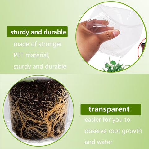 Oubest 5-inch clear nursery pot ideal for succulents and cuttings with drainage