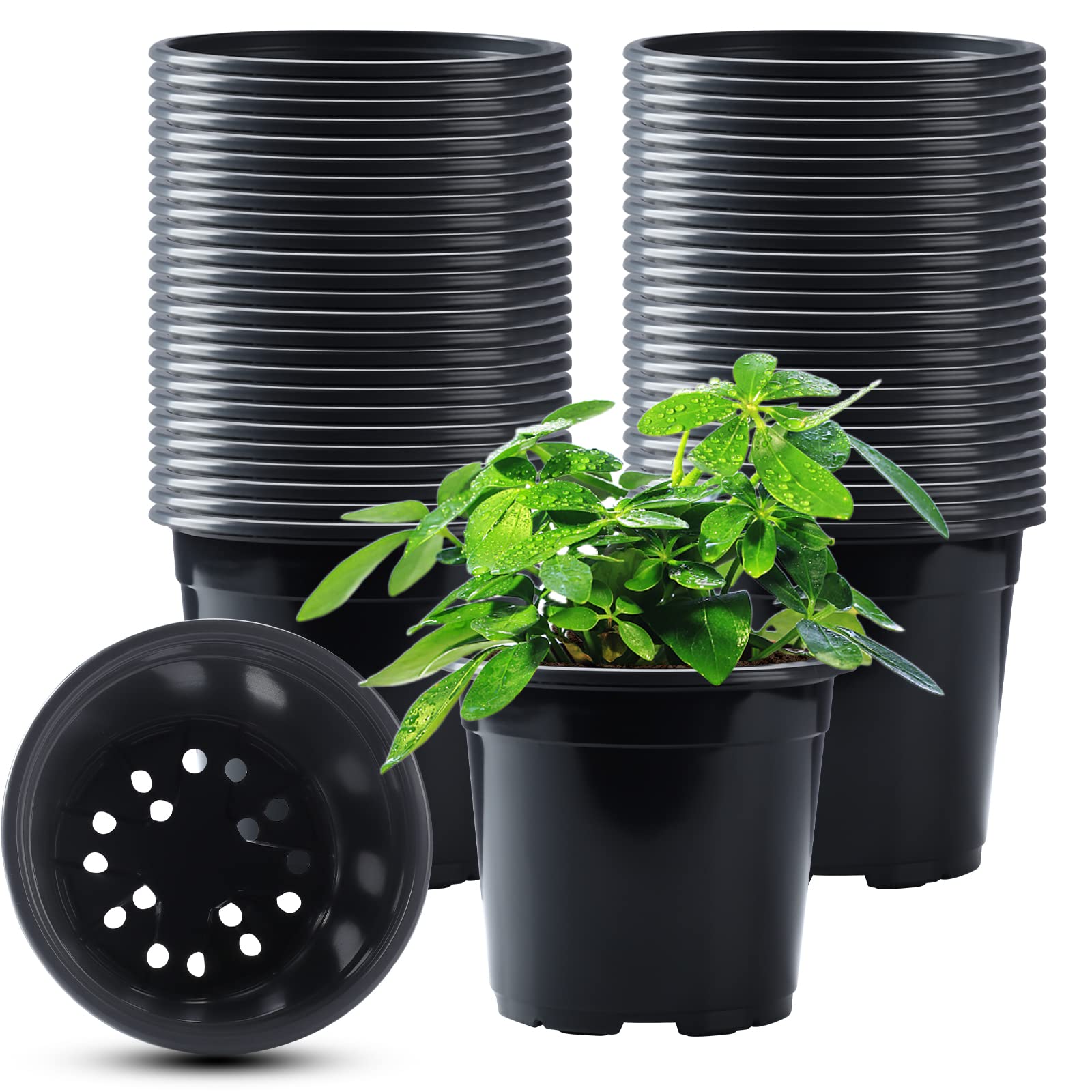 Oubest 50-piece nursery pots pack for versatile gardening use.