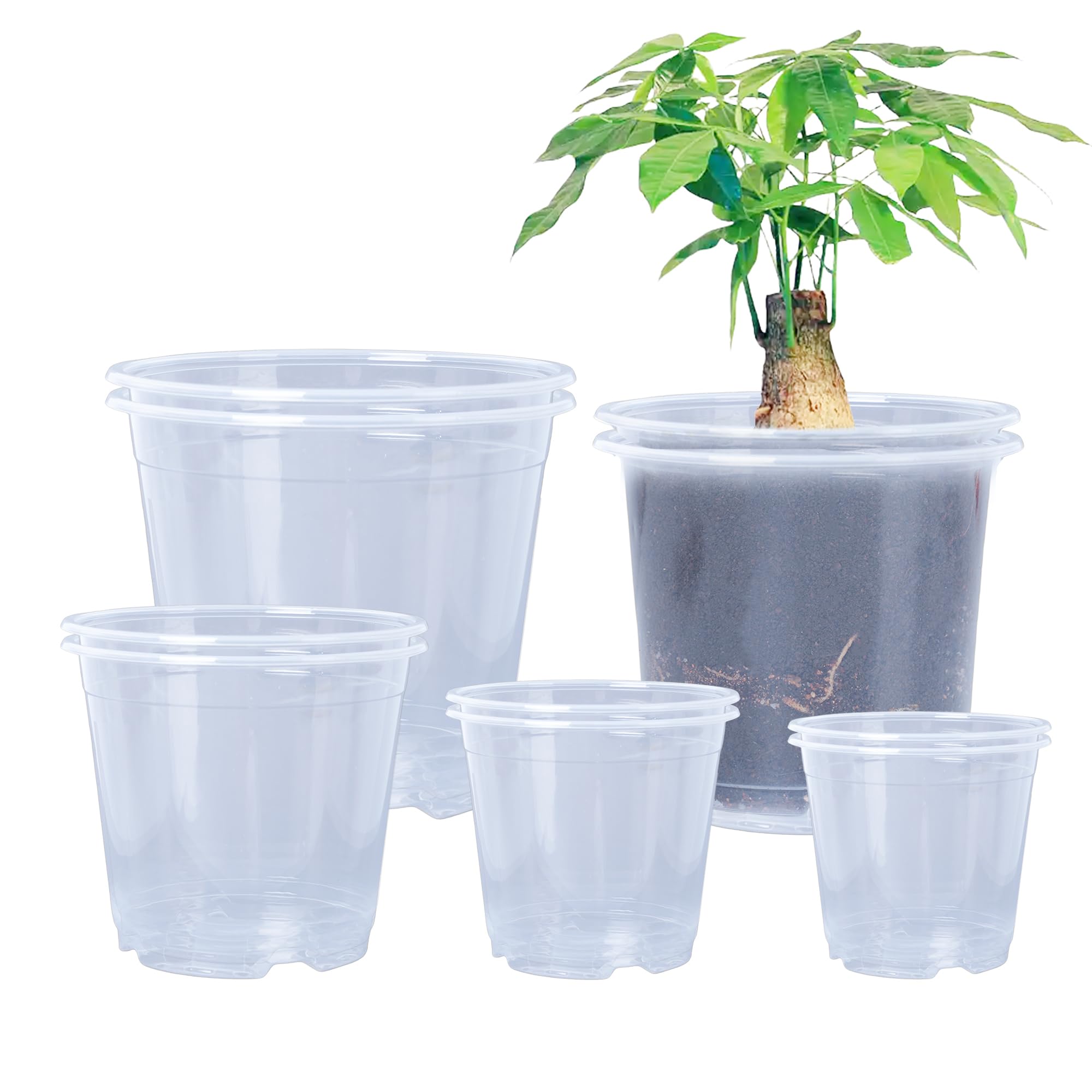 Oubest 6.7-inch clear nursery pot with drainage for seed starting and root watching