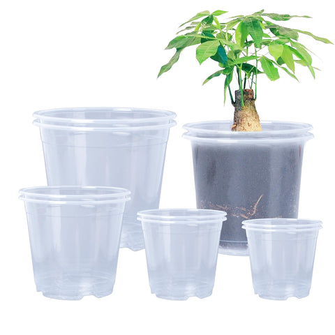Oubest 6.7-inch clear nursery pot with drainage for seed starting and root watching