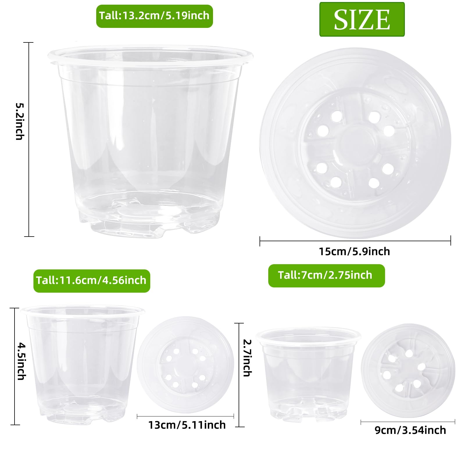 Oubest clear pot with drainage holes for excess water control.