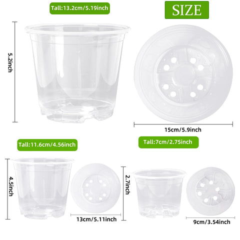 Oubest clear pot with drainage holes for excess water control.