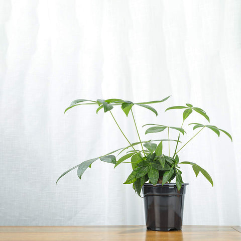 Oubest greenhouse stackable plastic pots for space efficiency