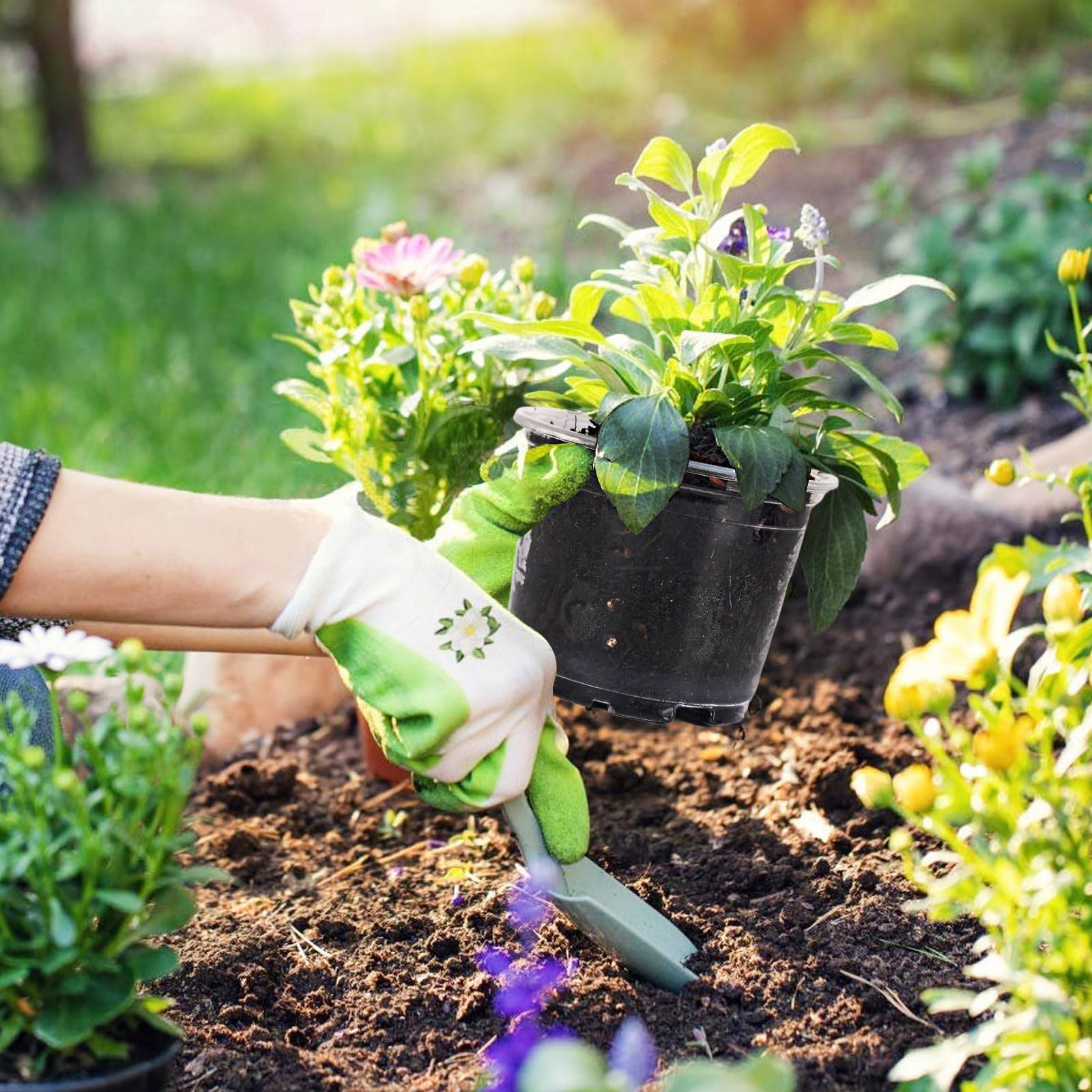 Oubest versatile pot for indoor and outdoor planting setups.