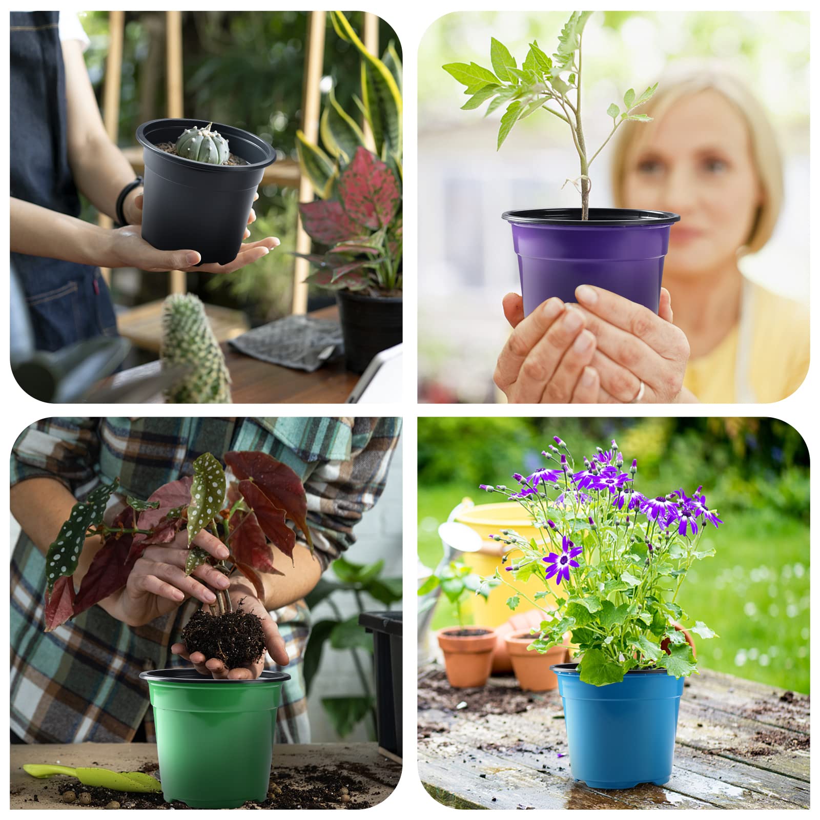Oubest multicolor seedling pots ideal for garden, terrace, and porch