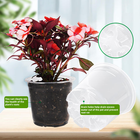 Oubest see-through nursery pots highlighting root health and hydration needs