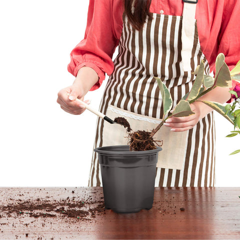 Oubest seed-starting and propagation pot in action