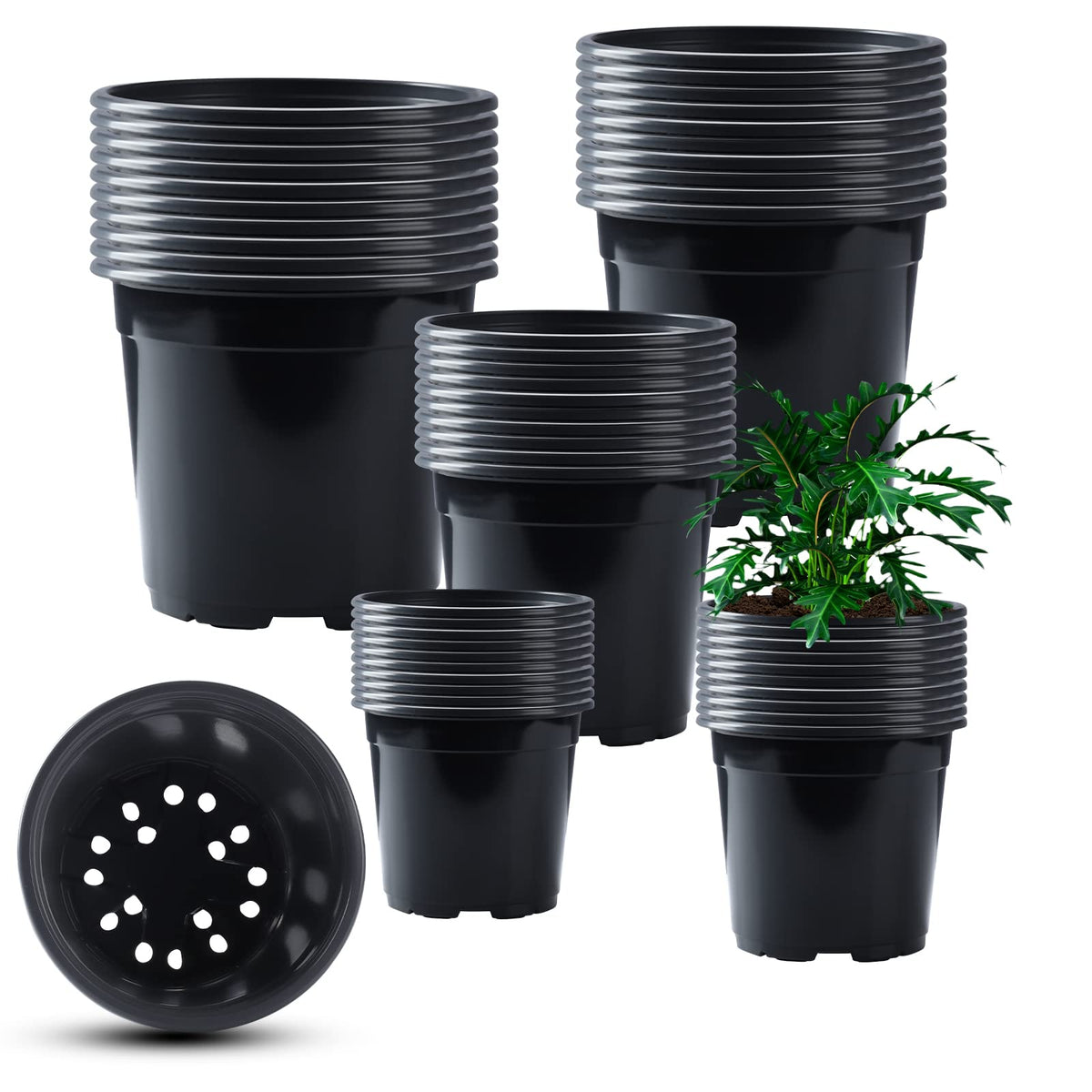 Oubest seedling pots 3-5 inch with drainage ideal for starting herbs and flowers.