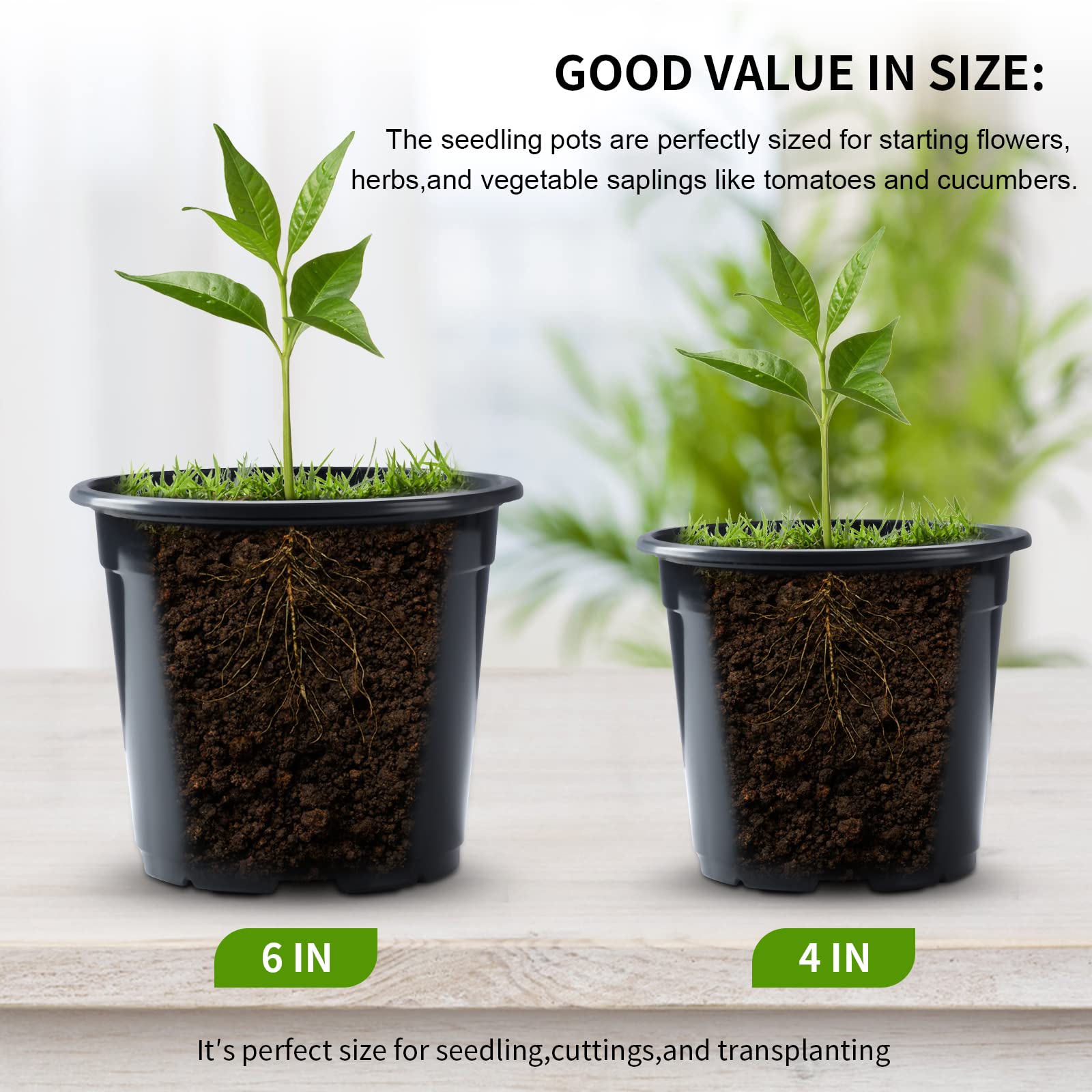 Oubest seedling pots 5-inch promote healthy root growth during seedling phase.