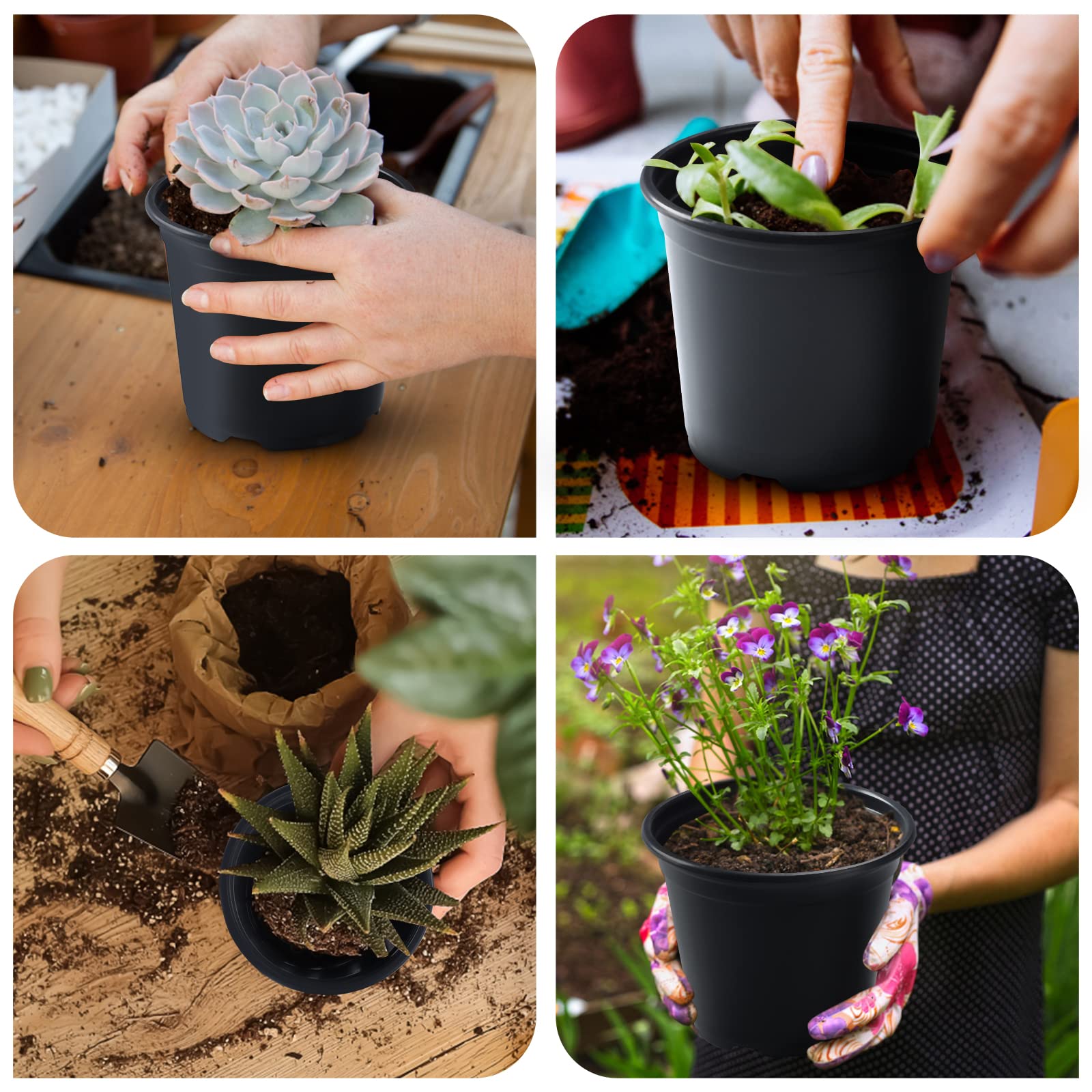 Oubest seedling pots with drainage holes help excess water escape.