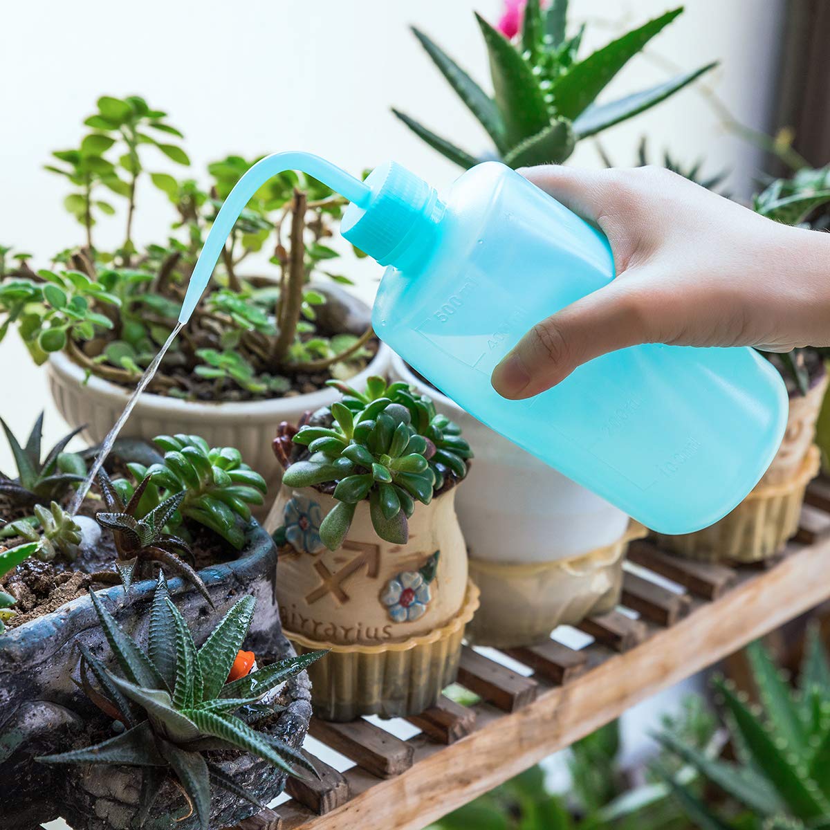 Oubest squeeze bottle blue, hand-squeeze action for delicate plants.