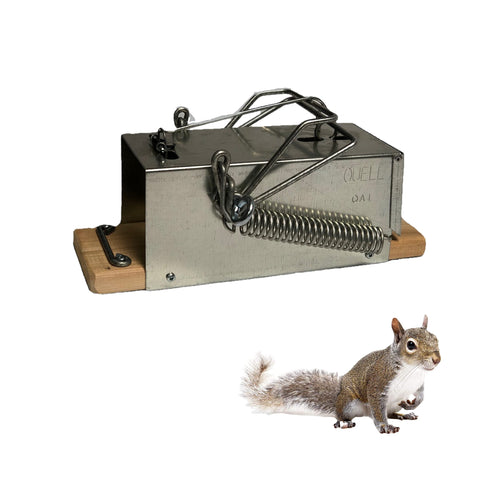 OUELL big squirrel trap outdoors and indoors showing quick-response design