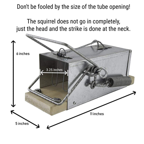 OUELL black and grey squirrel trap positioned for outdoor garden use