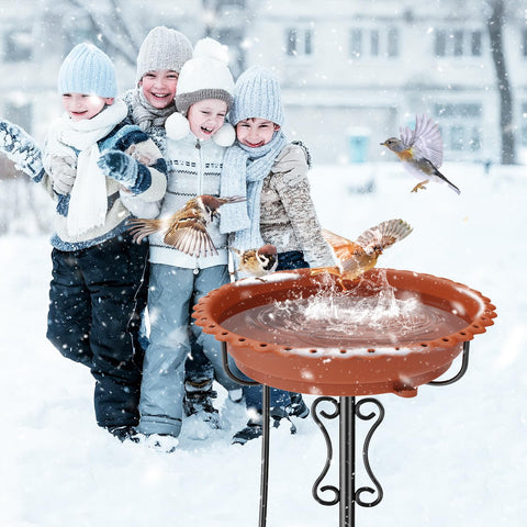 Ouinis heated bird bath boosts year-round backyard birdwatching.