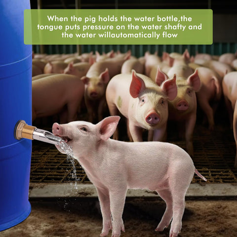 OUJIMAI stainless steel nipple waterer for durable hog watering setups