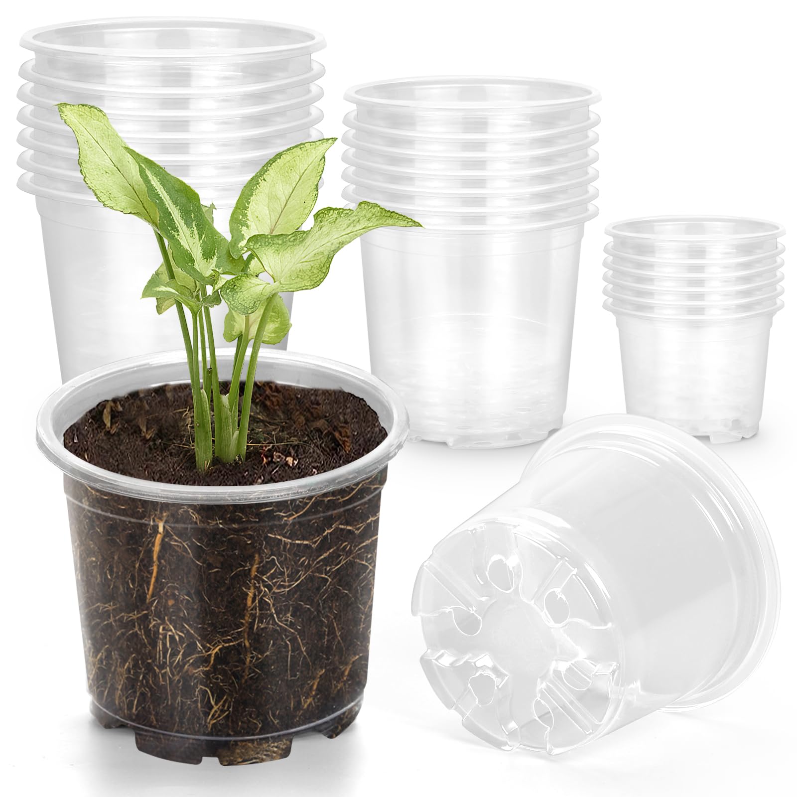 OUPSAUI clear nursery pot 3.5 inch front view for easy seedling monitoring