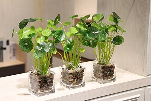 OUPENG decorative pebbles for aquarium substrate with polished finish