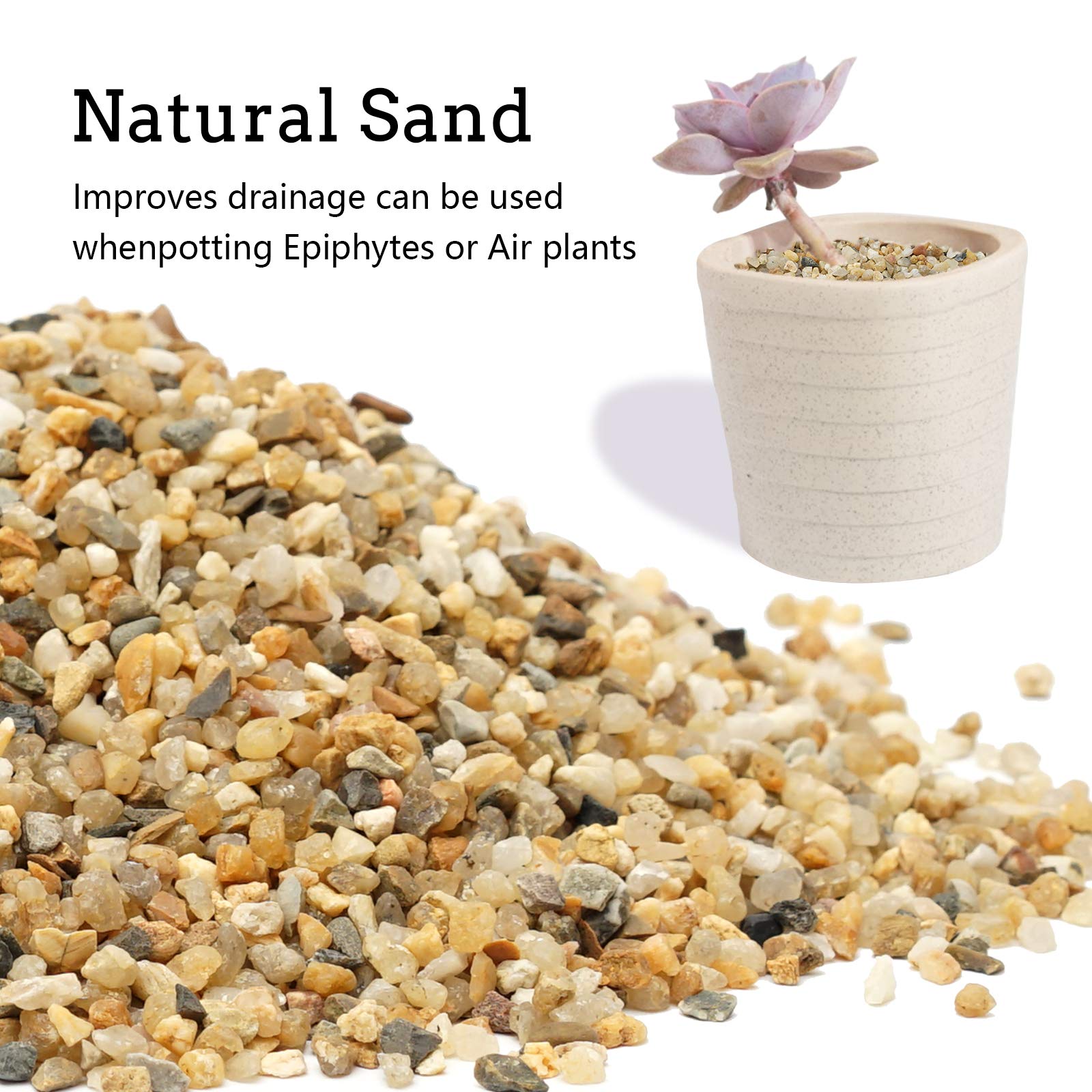 OUPENG terrarium and fairy garden top dressing for stability and style.