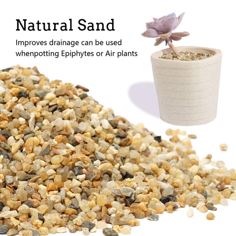 OUPENG terrarium and fairy garden top dressing for stability and style.