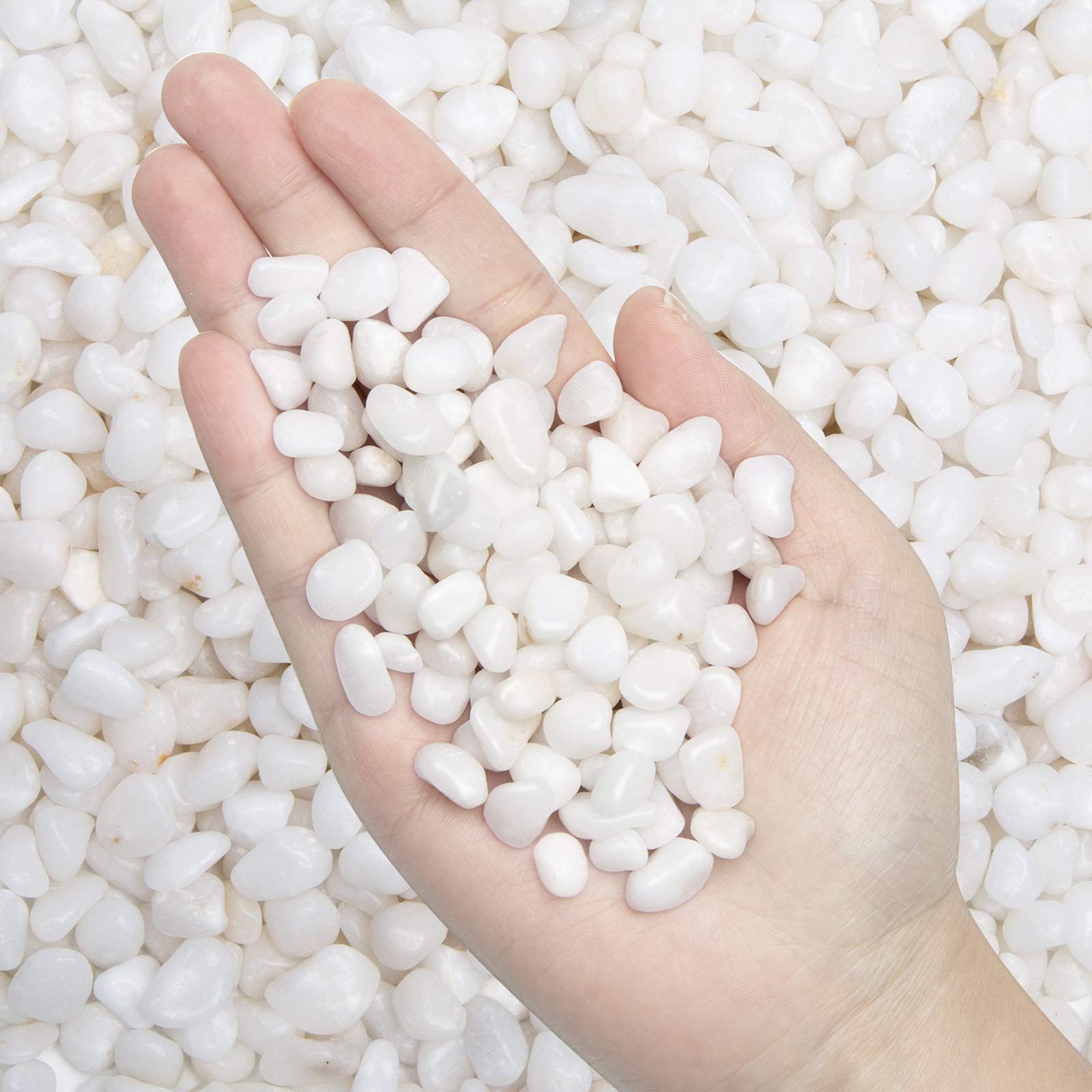 Oupeng white pebbles in a display bowl add a clean, elegant centerpiece.