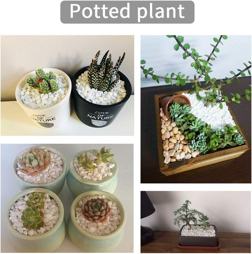 Oupeng white pebbles enhance floral arrangements with natural shine.
