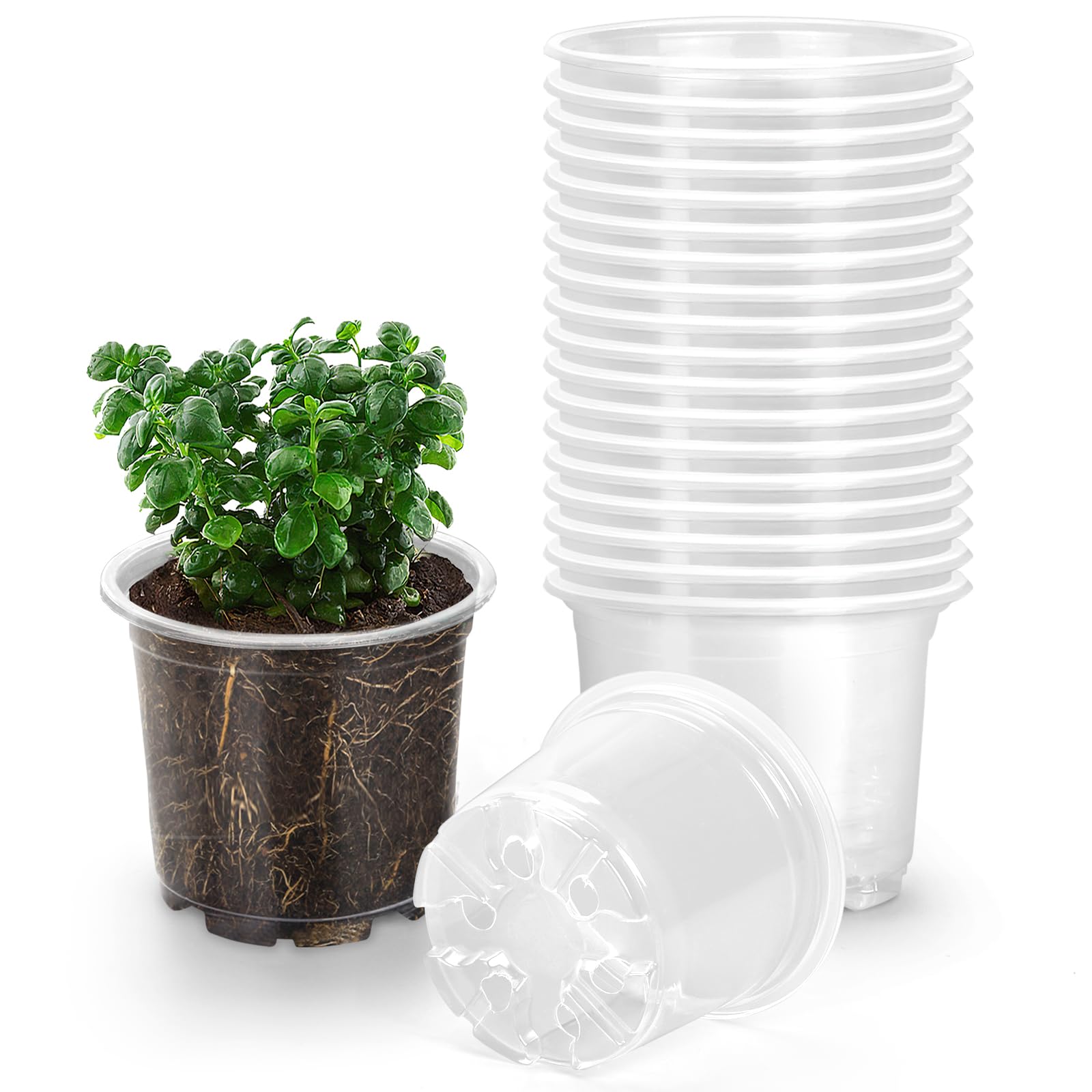 OUPSAUI 20-pack 3.5-inch clear nursery pot front view with drainage holes for easy monitoring.