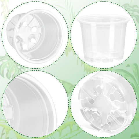 OUPSAUI 20-pack packaging ready for plant projects.