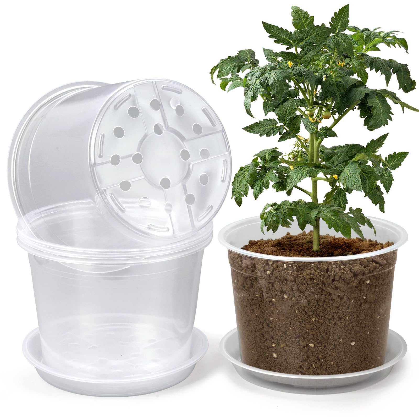 OUPSAUI 8-inch clear nursery pot with tray for tidy water management.