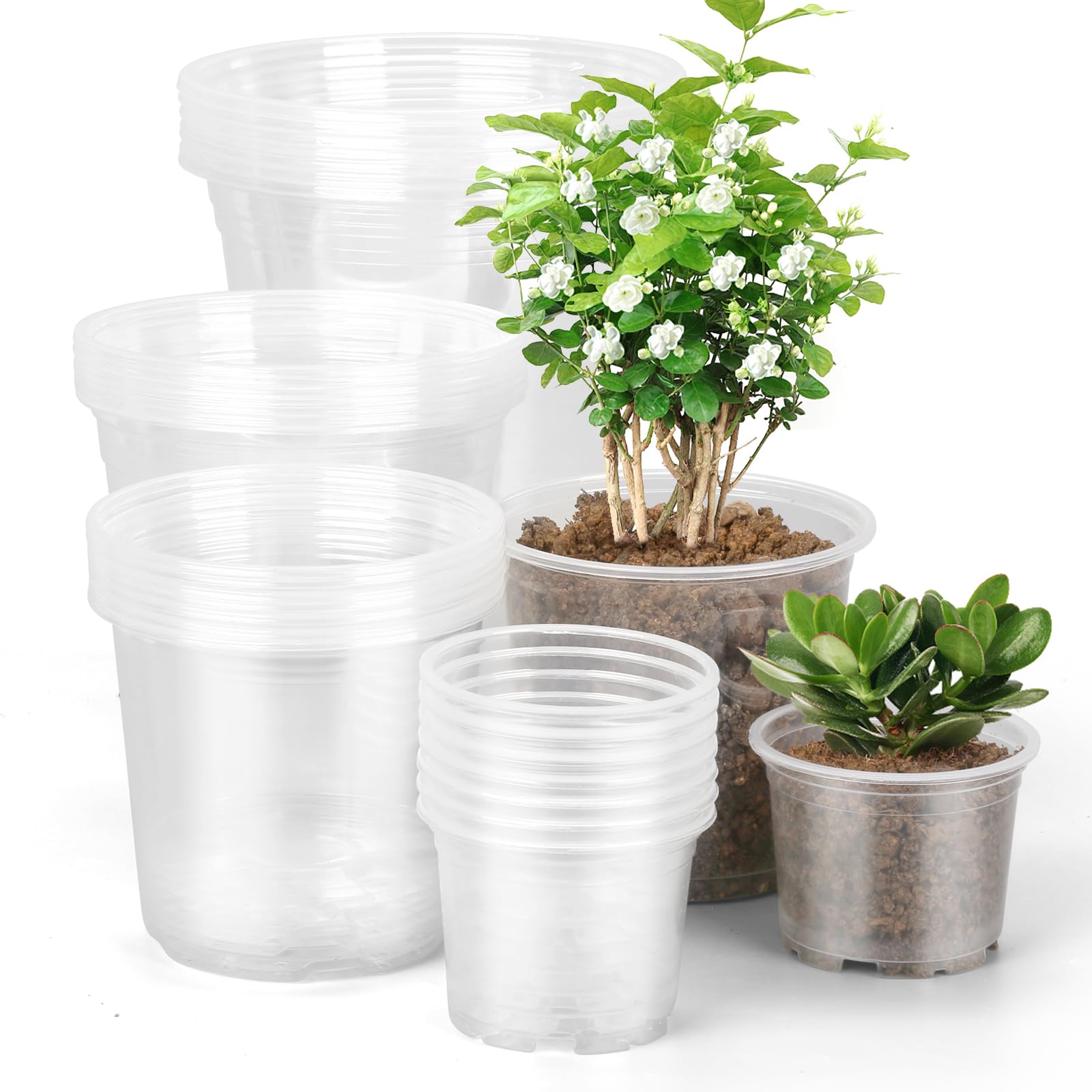 OUPSAUI 4-inch clear nursery pot with drainage holes for seedling growth