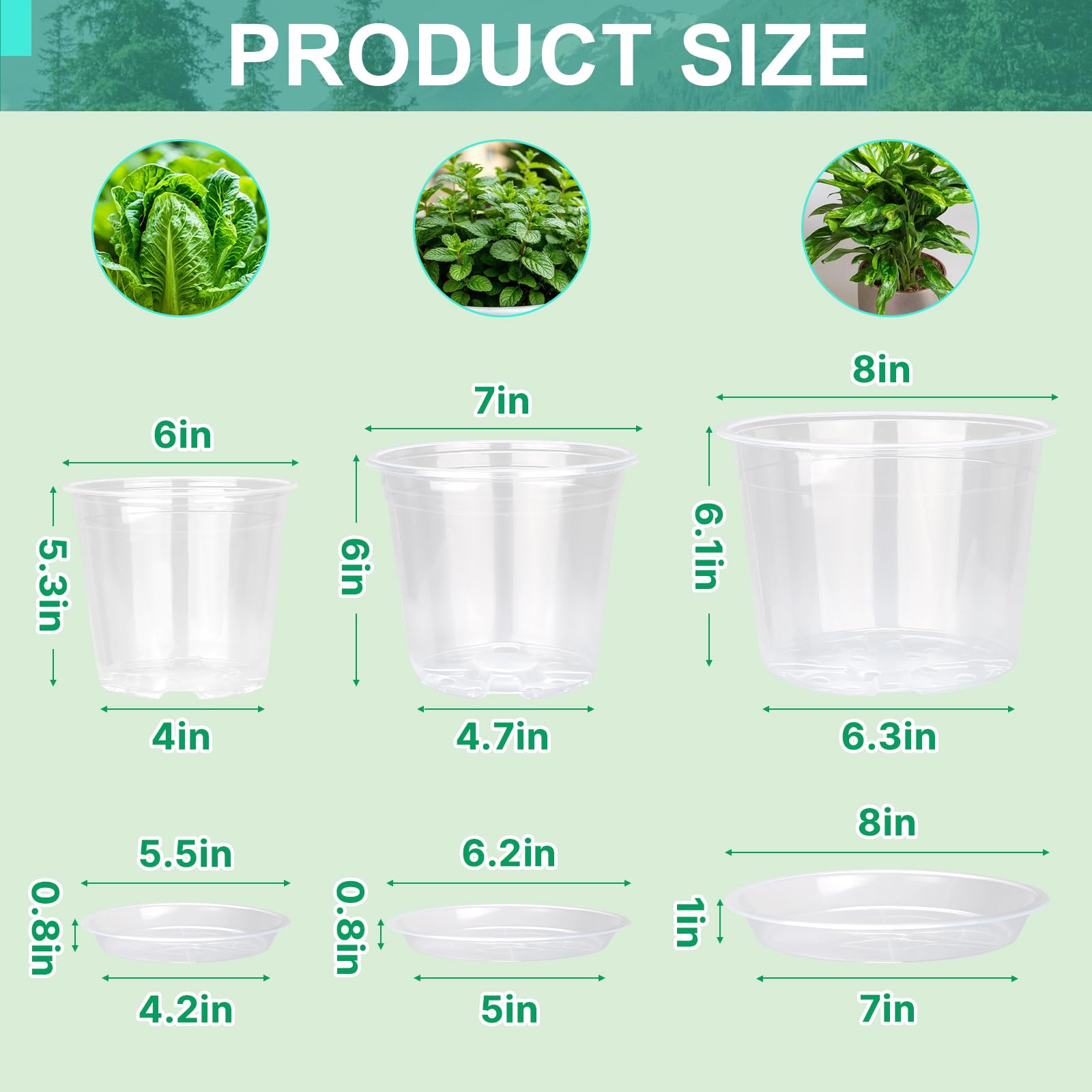 OUPSAUI clear nursery pot 7-inch with tray for seedling development.