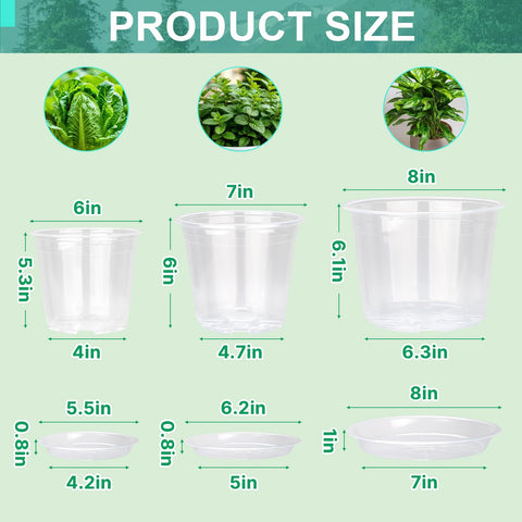 OUPSAUI clear nursery pot 7-inch with tray for seedling development.