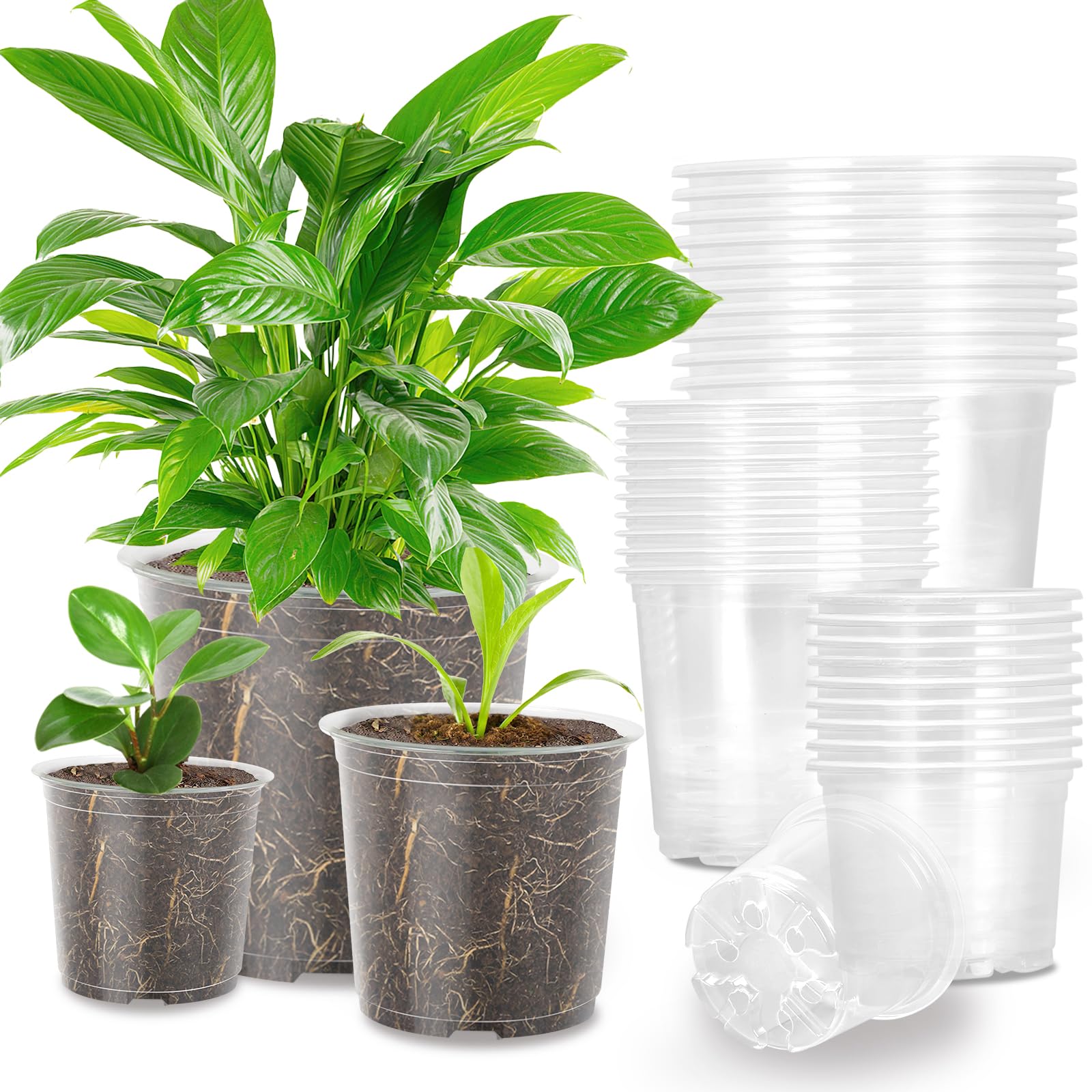 OUPSAUI clear nursery pots pack setup shows multi-size set for seed starting.