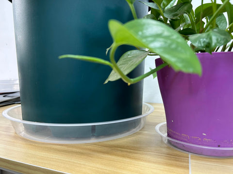OUPSAUI clear saucer doubles as a pet bowl or storage