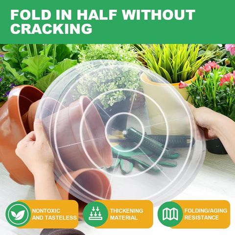 OUPSAUI clear plant saucer 8-inch desk-use tray for tidy plant displays.