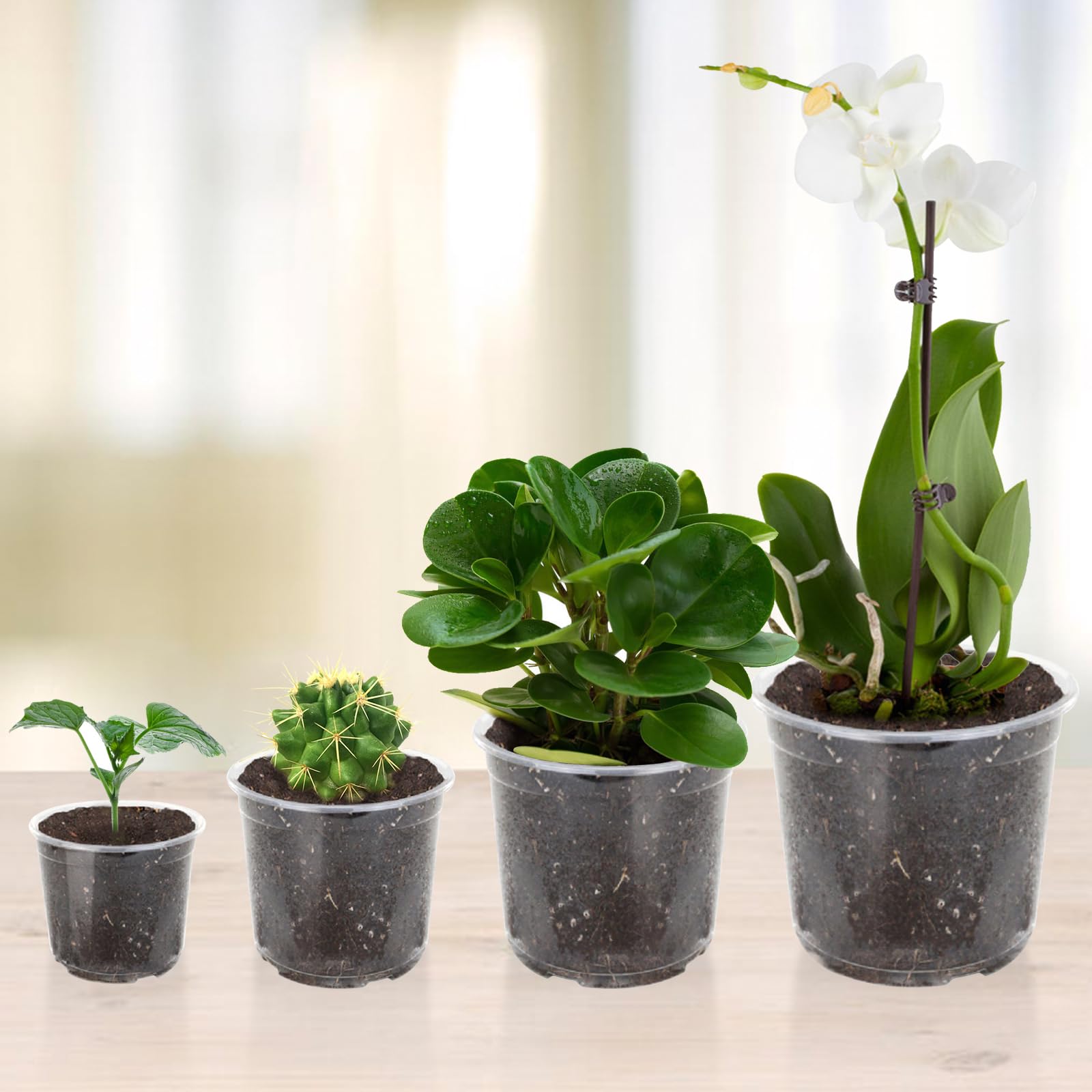 OUPSAUI indoor balcony garden uses clear pots for compact, organized planting.